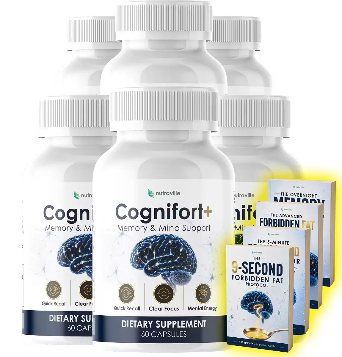Cognifort   6 bottle